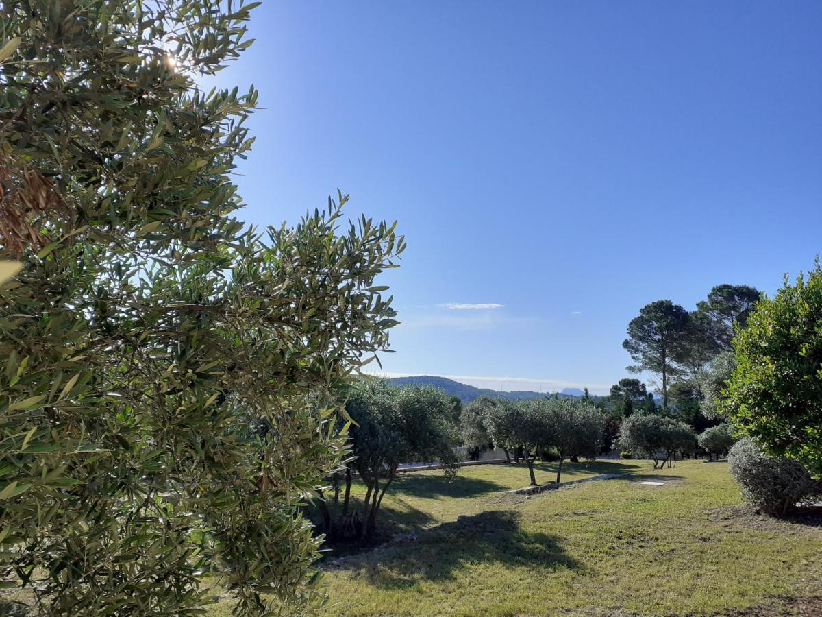 La Bastide Des Selves Bed & Breakfast Draguignan Exterior photo